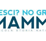 Pesci? No grazie, siamo mammiferi!