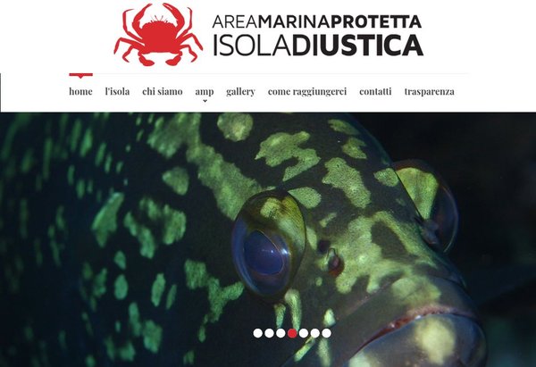 Immagine illustrativa (schermata) per «Freediving festival OPEN a Ustica»