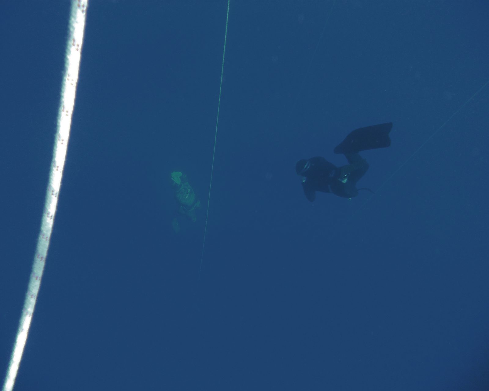 Due apneisti nel blu, lungo il cavo di discesa